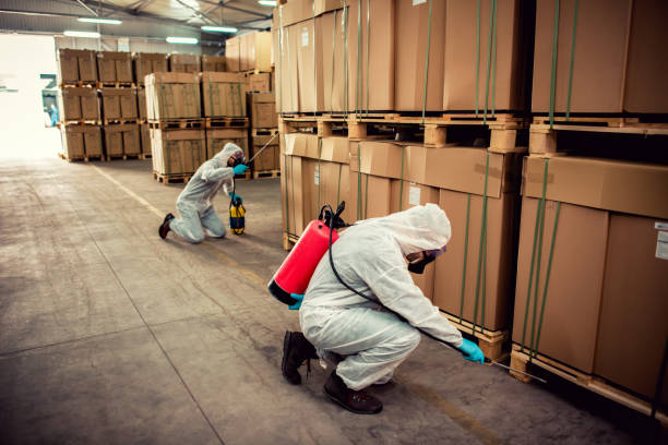Best Local Pest Control Services  in Brinckerhoff, NY