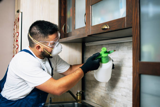 Best Best Pest Control Companies  in Brinckerhoff, NY