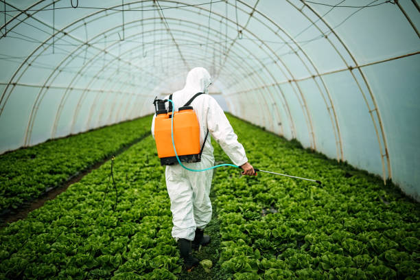 Best Pest Control Near Me in Brinckerhoff, NY