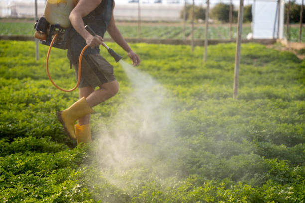 Best Best Pest Control Near Me  in Brinckerhoff, NY