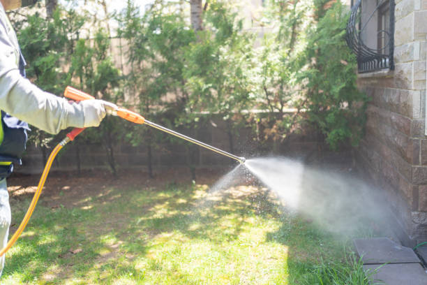 Best Flea Control Services  in Brinckerhoff, NY