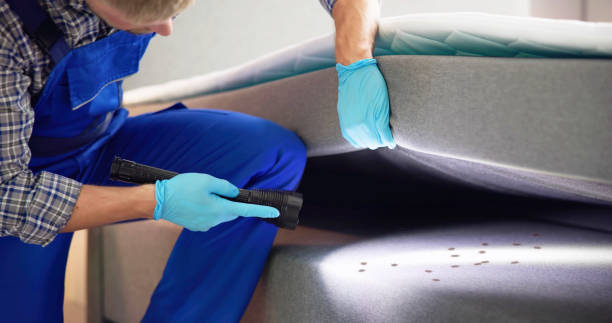 Best Commercial Pest Control Services  in Brinckerhoff, NY
