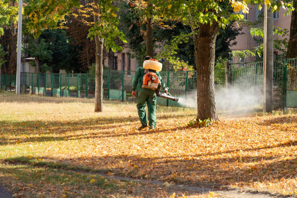 Bird Control in Brinckerhoff, NY